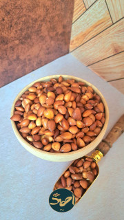 مغز زردآلو نمکی ( مرطوب )